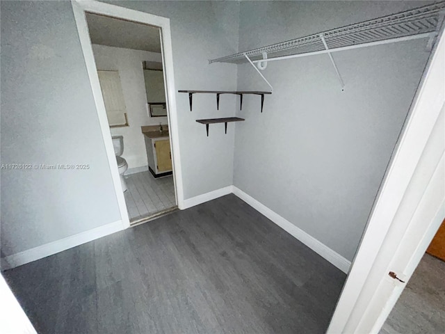 spacious closet featuring dark wood-type flooring