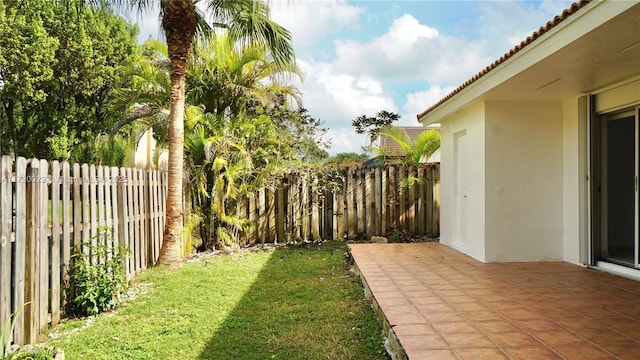 view of yard featuring a patio area