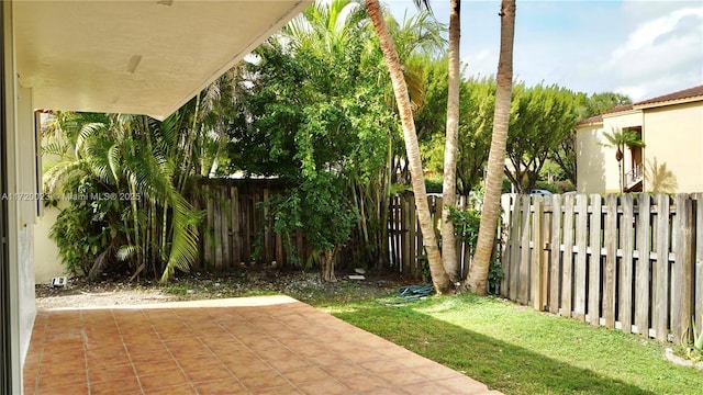 view of yard featuring a patio area