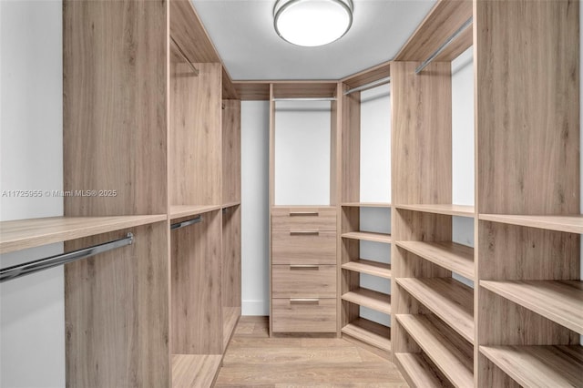 spacious closet with light hardwood / wood-style floors