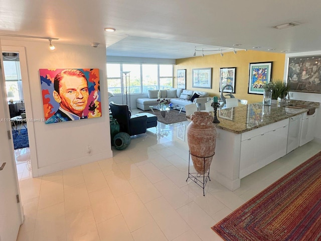 3300 NE 36th St Unit 605, Fort Lauderdale, FL 33308 - living area with track lighting and baseboards