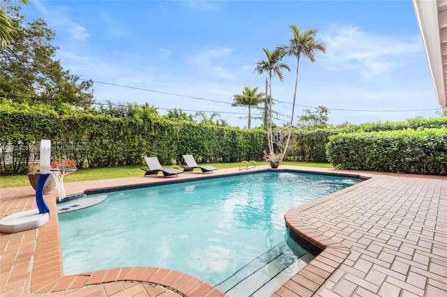 view of swimming pool with a patio