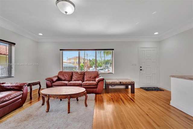 living room featuring crown molding and wood-type flooring