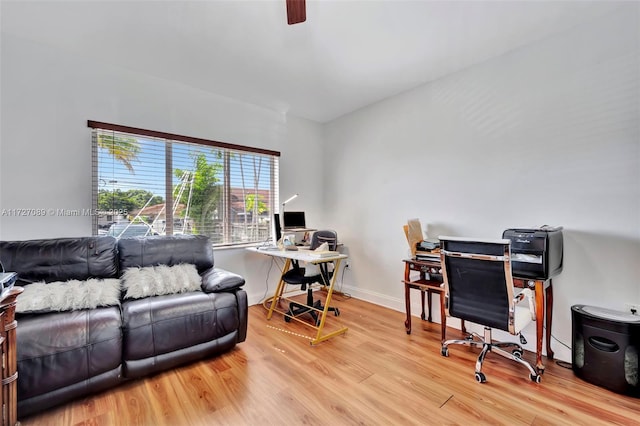 office space with ceiling fan and light hardwood / wood-style flooring