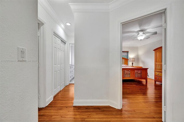 bedroom featuring light wood-type flooring, ceiling fan, and ornamental molding