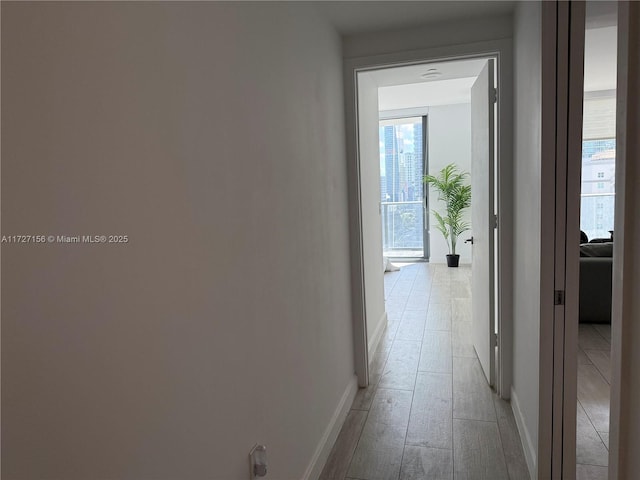45 SW 9th St Unit 1004, Miami, FL 33130 - photo 15