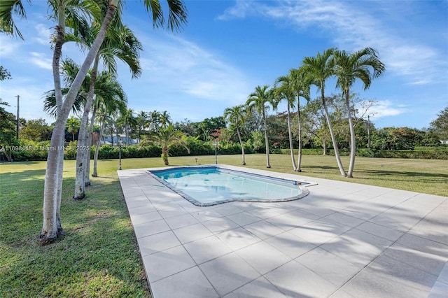 view of pool with a lawn and a patio