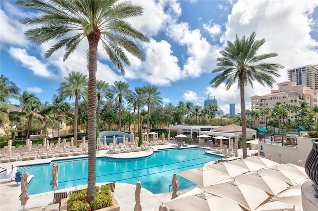 view of swimming pool featuring a patio area