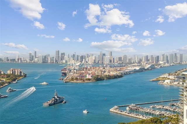 100 S Pointe Dr Unit 3203, Miami Beach, FL 33139 - water view with city skyline and numerous boat docks