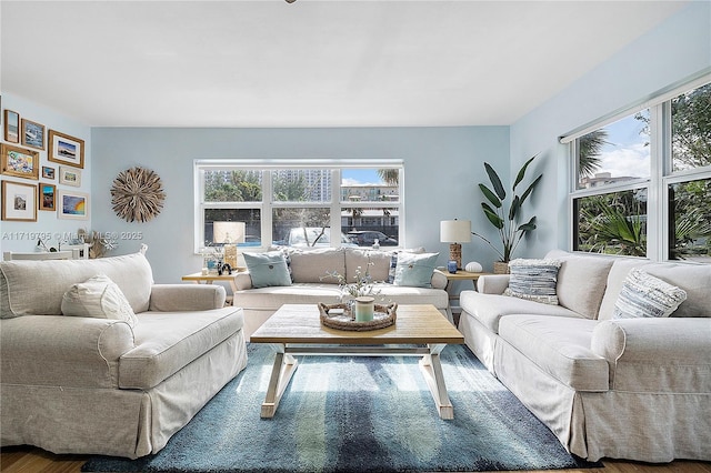 living room with hardwood / wood-style flooring