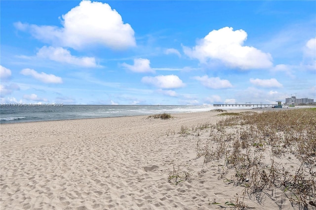 property view of water featuring a beach view