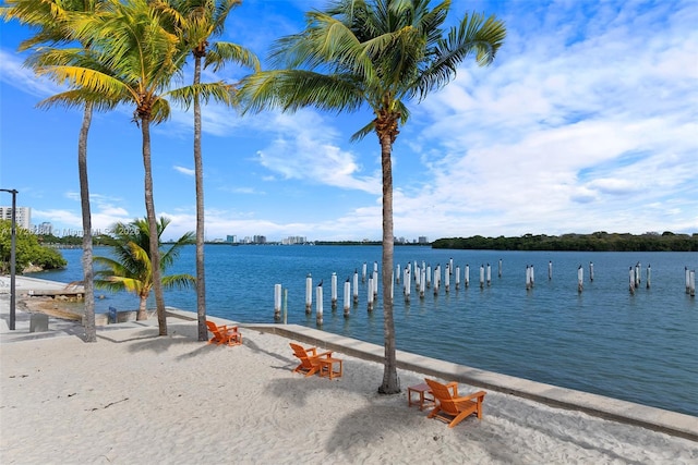 dock area featuring a water view