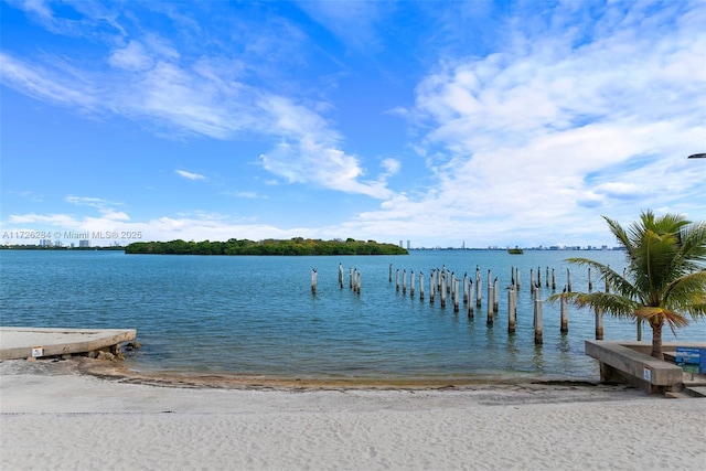 property view of water featuring a boat dock