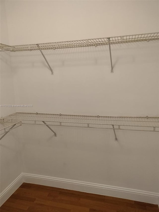 spacious closet featuring hardwood / wood-style flooring