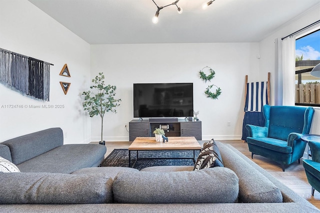 living room with wood-type flooring