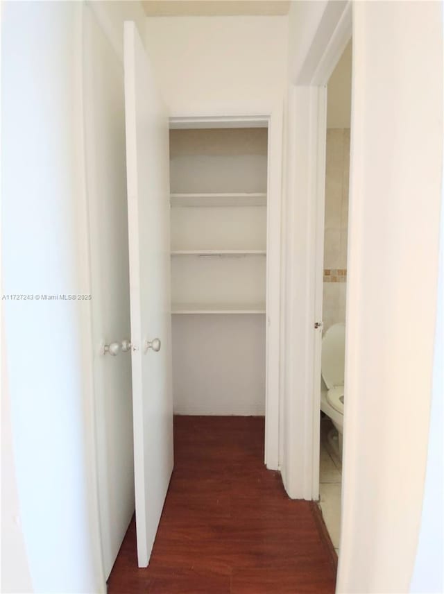 view of closet