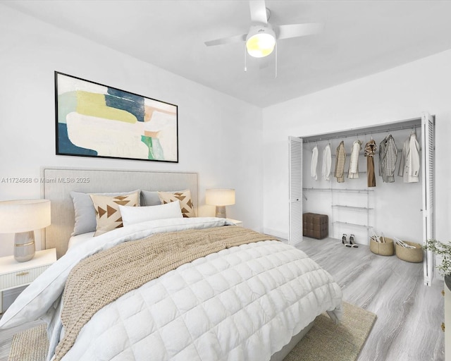 bedroom with ceiling fan, a closet, and light hardwood / wood-style flooring