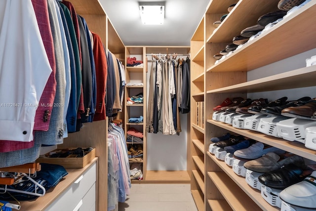 view of spacious closet