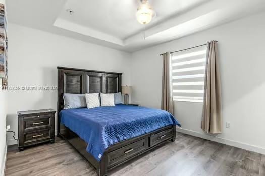 bedroom with a raised ceiling and light hardwood / wood-style floors