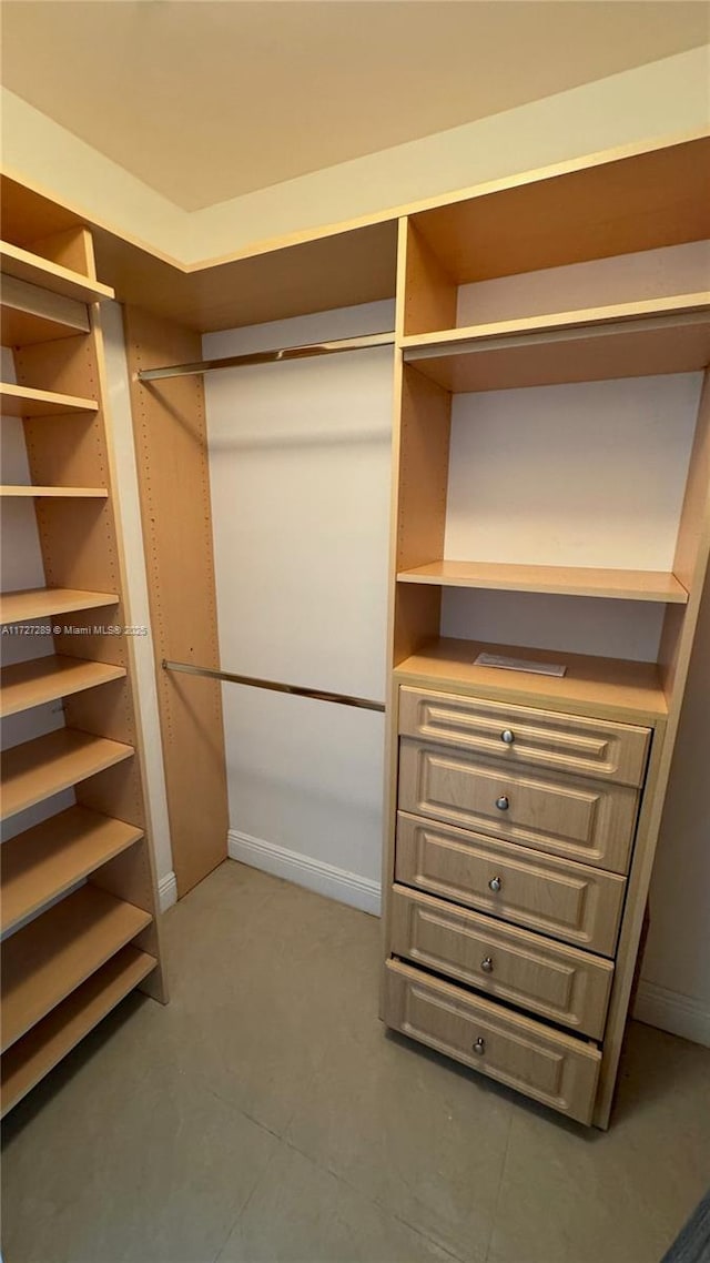 view of spacious closet