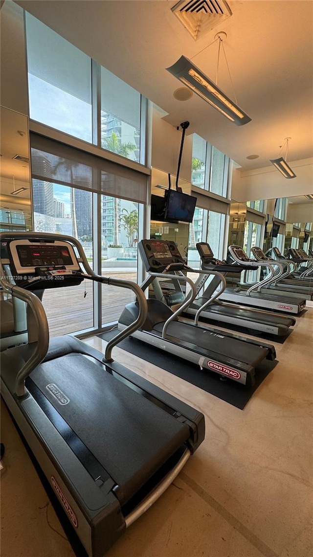 exercise room featuring a wealth of natural light