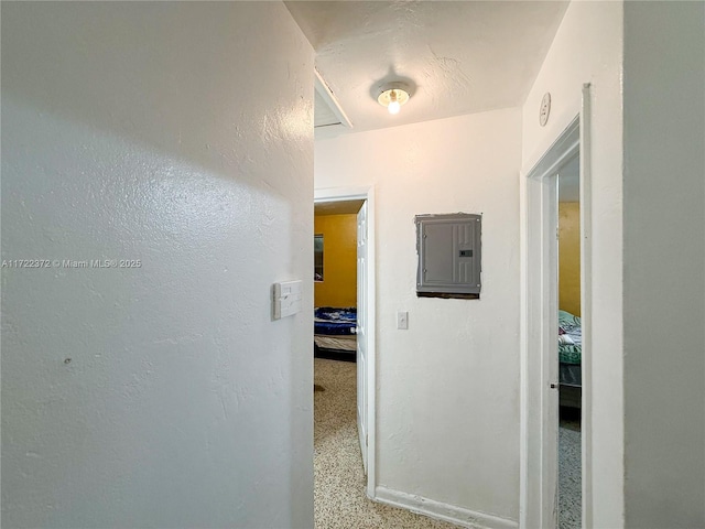 hall with electric panel and light colored carpet