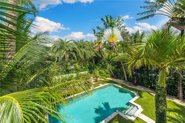 view of swimming pool