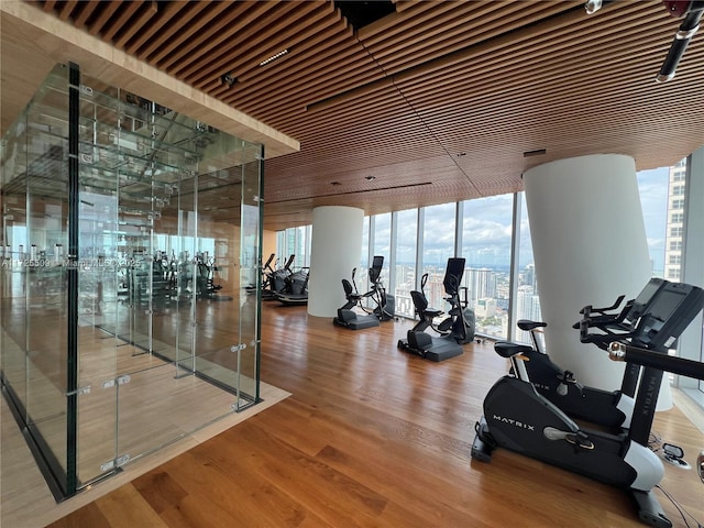 workout area with hardwood / wood-style flooring and expansive windows