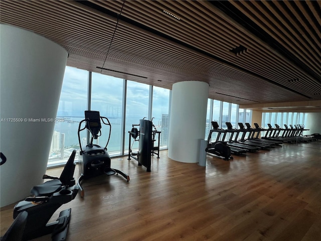 workout area featuring expansive windows and hardwood / wood-style flooring