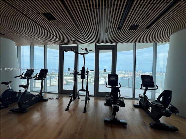 exercise room with hardwood / wood-style flooring, a water view, and a healthy amount of sunlight