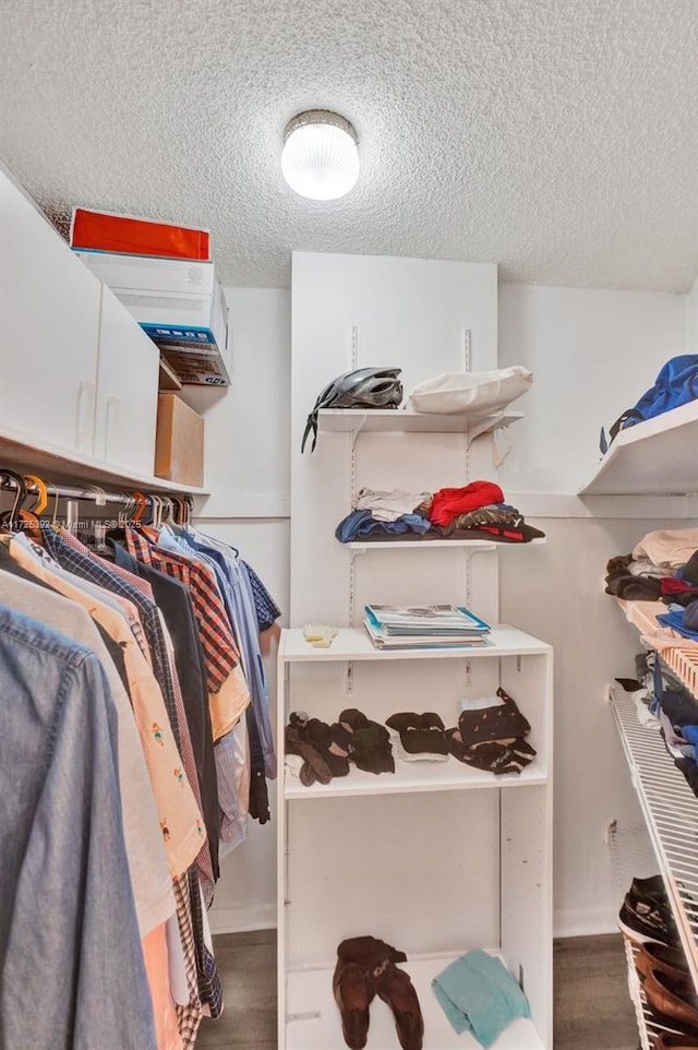 spacious closet with hardwood / wood-style flooring