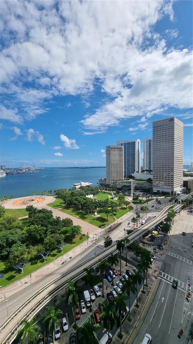 aerial view with a water view