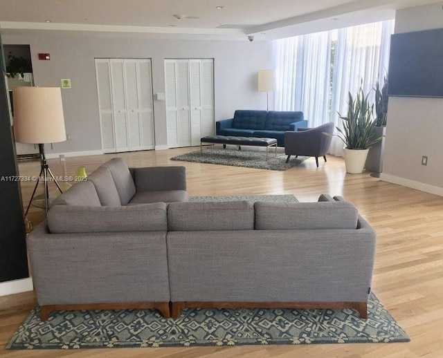 living room with hardwood / wood-style flooring