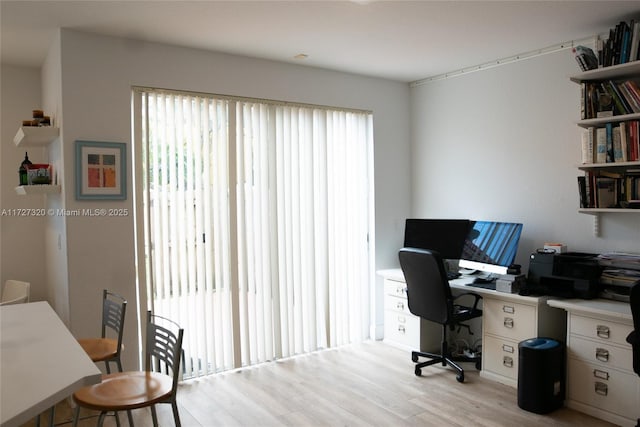 office space featuring a healthy amount of sunlight and light hardwood / wood-style floors