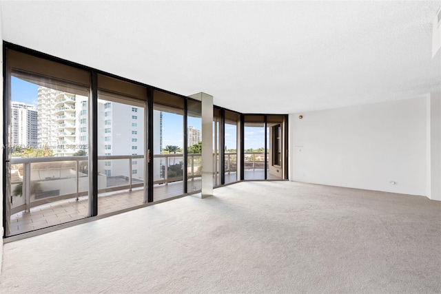 spare room featuring light colored carpet and expansive windows