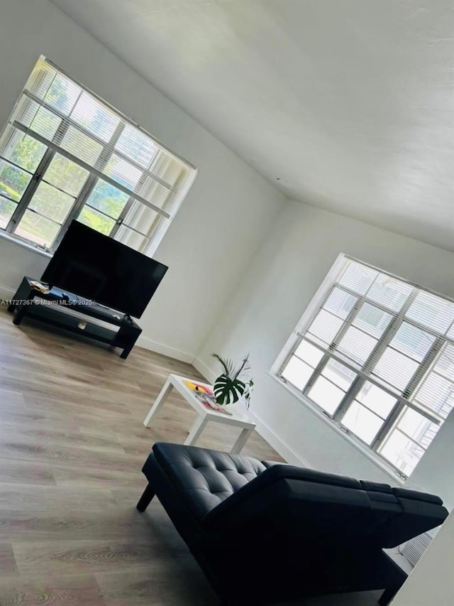 living room with hardwood / wood-style flooring and a high ceiling