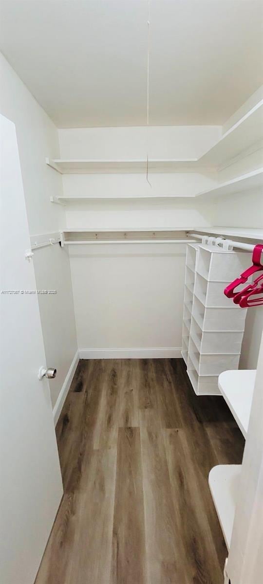 spacious closet with dark hardwood / wood-style floors