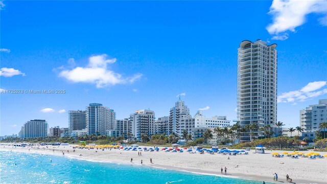 view of water feature with a beach view