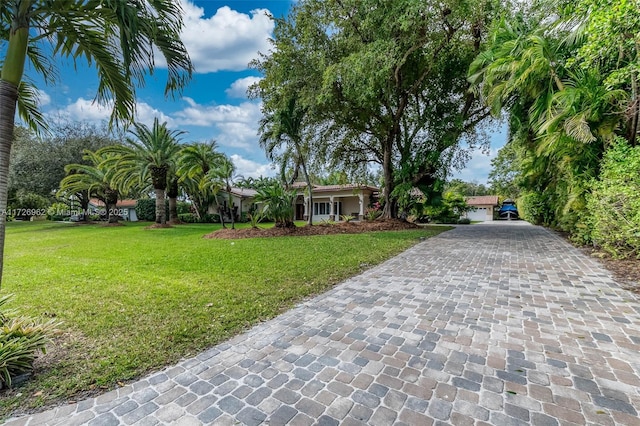 ranch-style home with a front yard