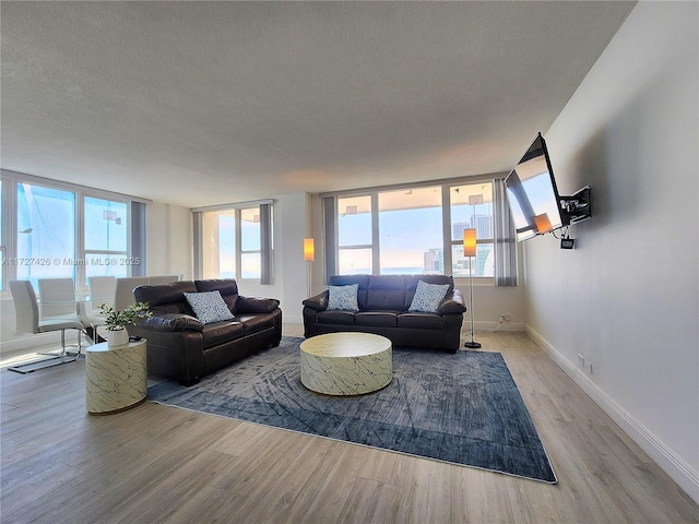 living room with a textured ceiling and light hardwood / wood-style flooring