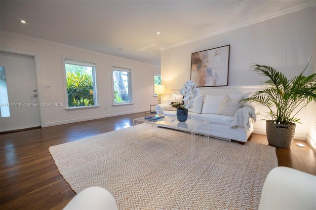 living room featuring ornamental molding and hardwood / wood-style flooring