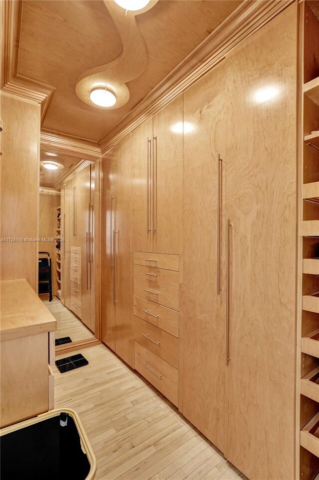 corridor featuring light hardwood / wood-style flooring and ornamental molding