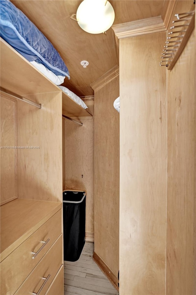 walk in closet with light hardwood / wood-style floors