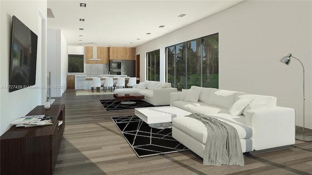 living room with a wealth of natural light and dark hardwood / wood-style floors