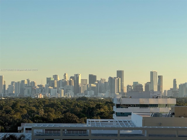 view of city