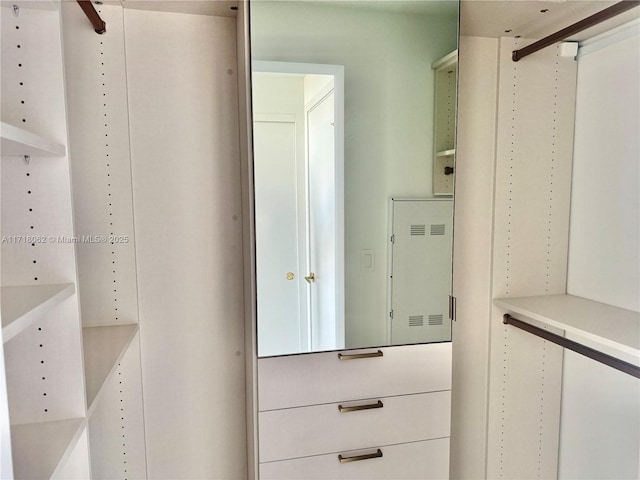 view of walk in closet