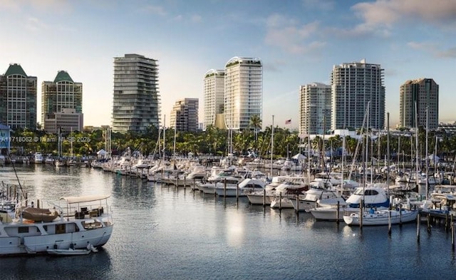 property view of water with a boat dock