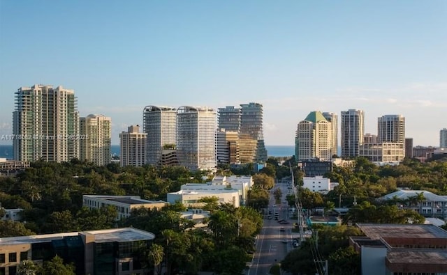 property's view of city