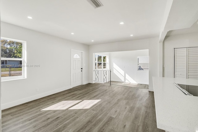 interior space featuring dark hardwood / wood-style floors and plenty of natural light