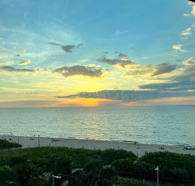 property view of water featuring a beach view